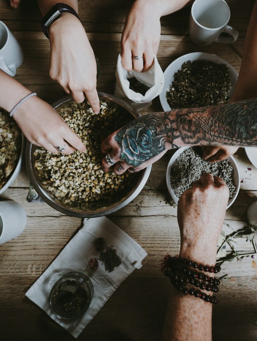 cueillette et cuisine des plantes sauvages